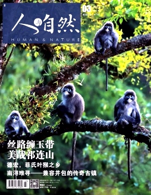 人与自然 人与自然