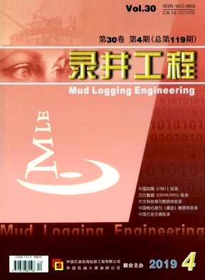 录井工程 录井工程