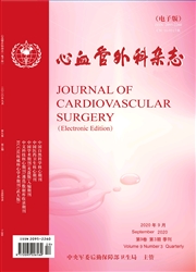 心血管外科杂志(电子版) 心血管外科杂志(电子版)