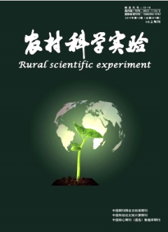 农村科学实验 农村科学实验