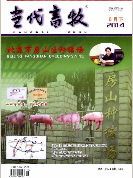 当代畜牧  当代畜牧