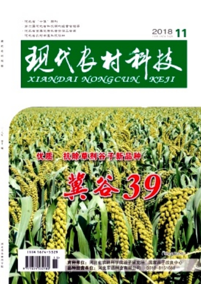 现代农村科技 现代农村科技